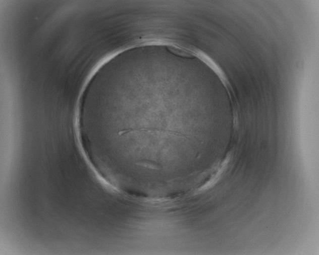 X0000113861149200909241302