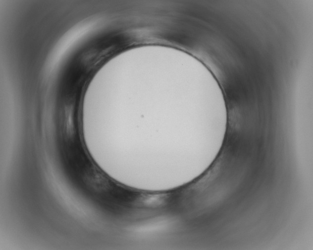 X0000113861150200909241302