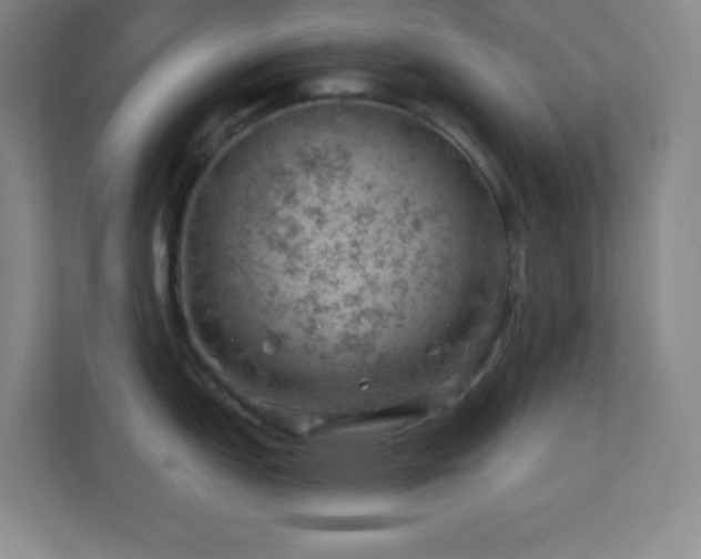 X0000113861151200909241302