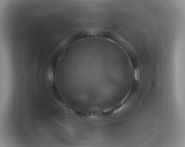 X0000113861155200909241302
