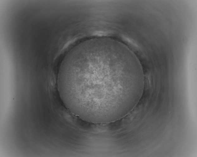 X0000113861158200909241302
