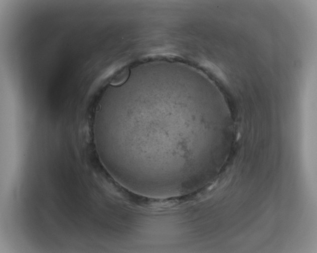 X0000113861159200909241302