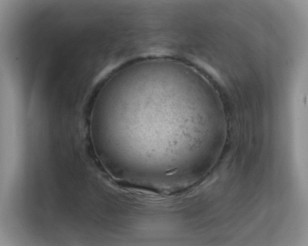 X0000113861160200909241302