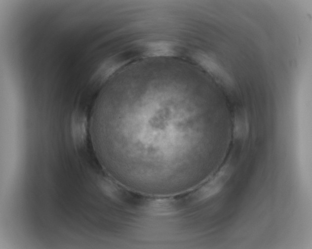 X0000113861161200909241302