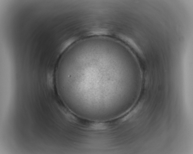 X0000113861162200909241302