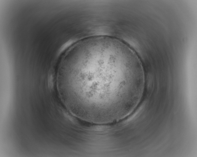 X0000113861163200909241302