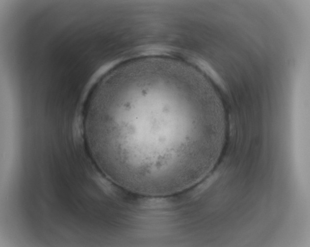 X0000113861164200909241302