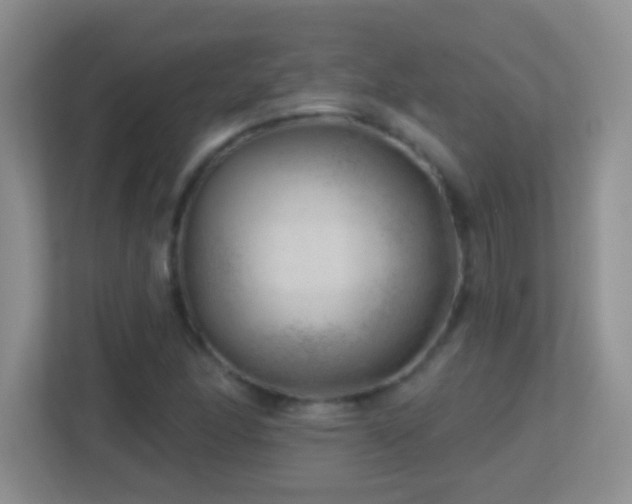 X0000113861166200909241302