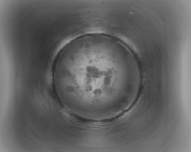 X0000113861167200909241302