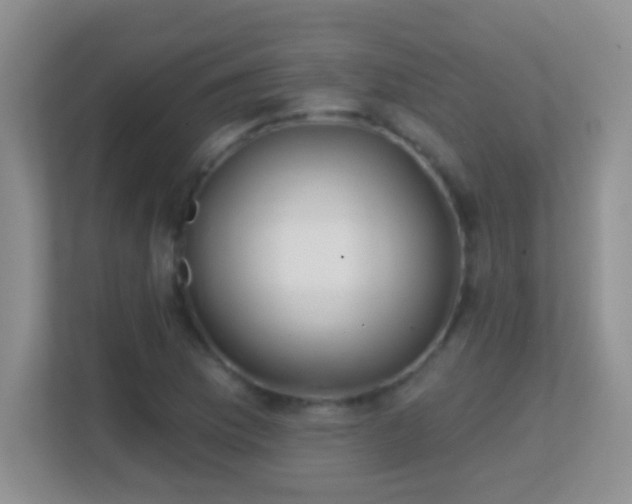 X0000113861169200909241302