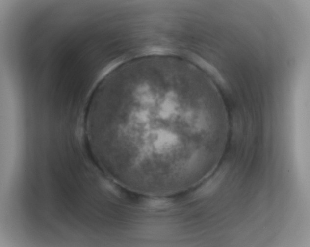 X0000113861170200909241302