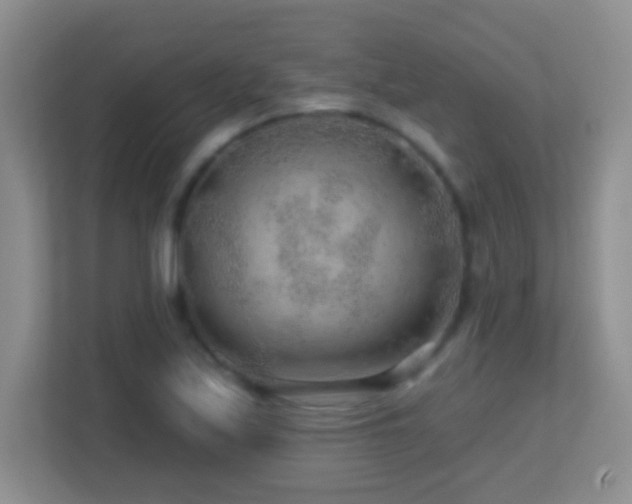X0000113861171200909241302