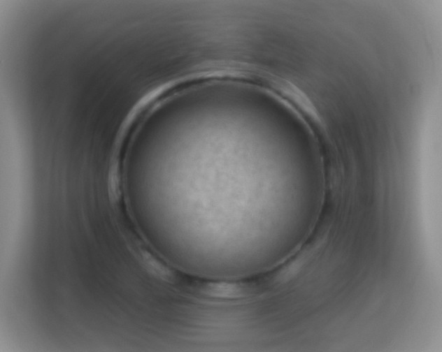 X0000113861172200909241302