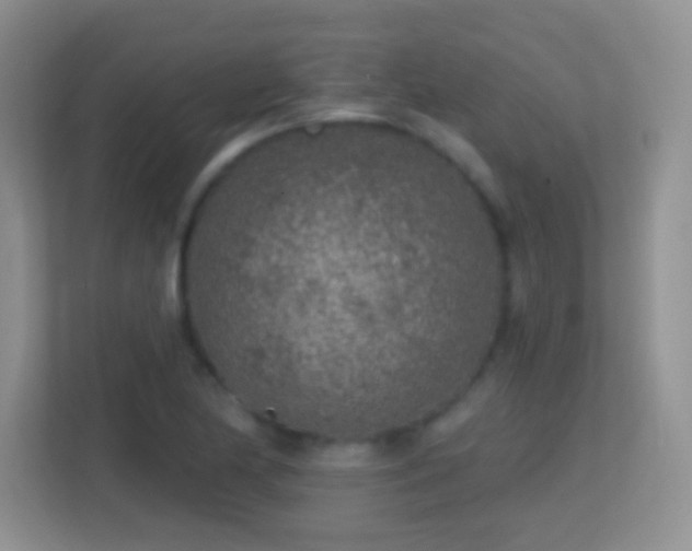 X0000113861174200909241302