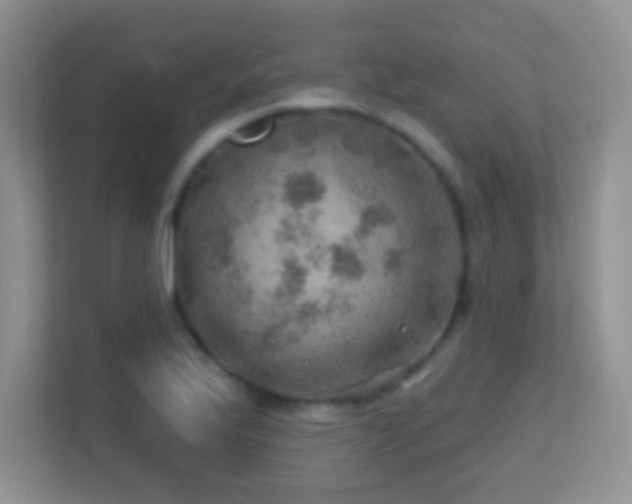 X0000113861175200909241302