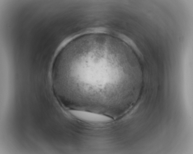 X0000113861176200909241302