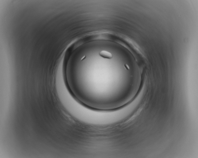 X0000113861177200909241302