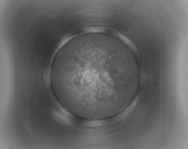 X0000113861178200909241301