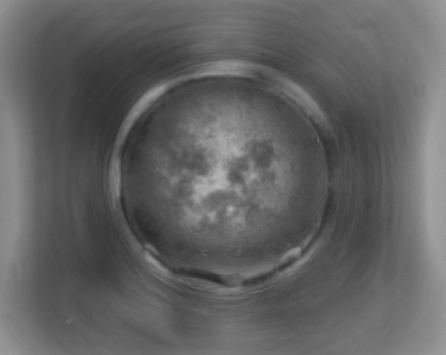 X0000113861180200909241301
