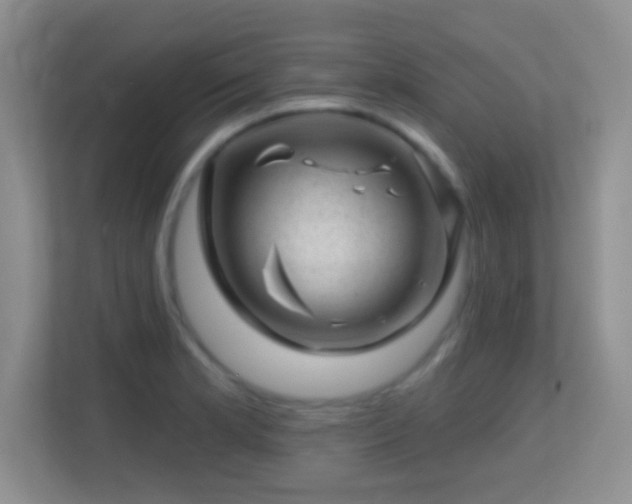 X0000113861181200909241301