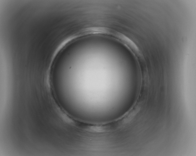 X0000113861182200909241301