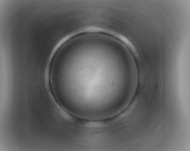 X0000113861183200909241301
