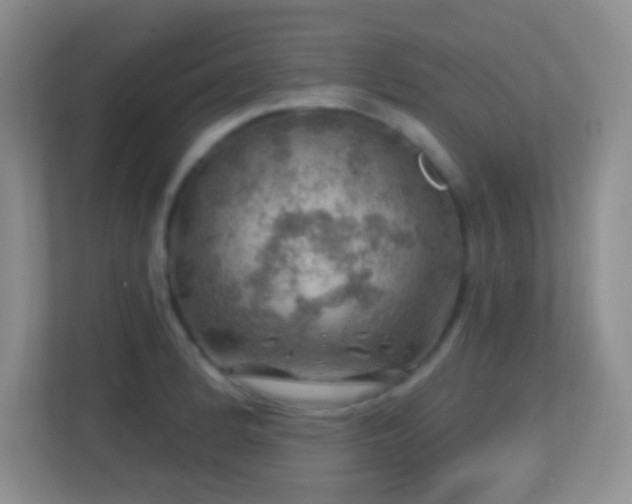 X0000113861184200909241301