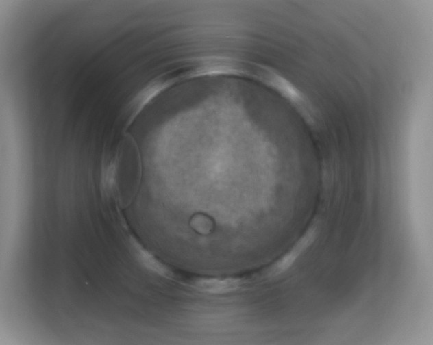 X0000113861185200909241301