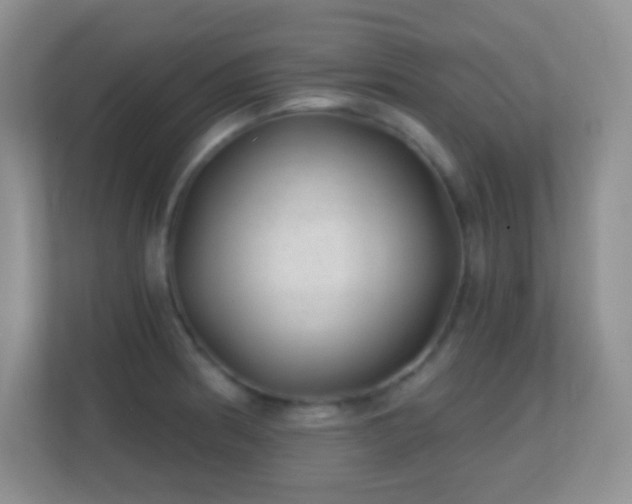 X0000113861186200909241301