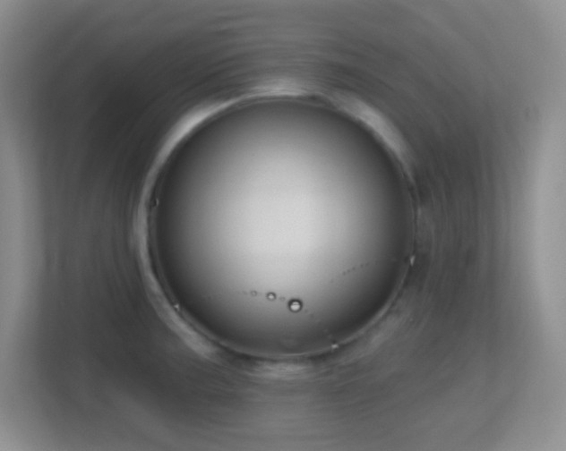 X0000113861187200909241301