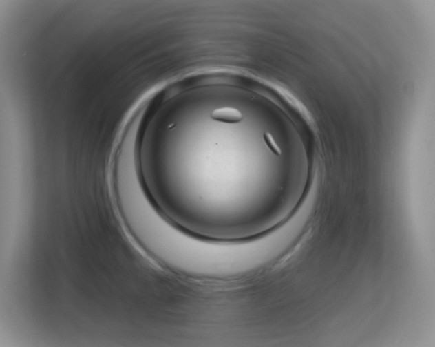 X0000113861189200909241301