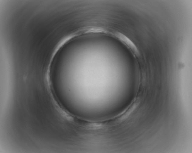 X0000113861190200909241301