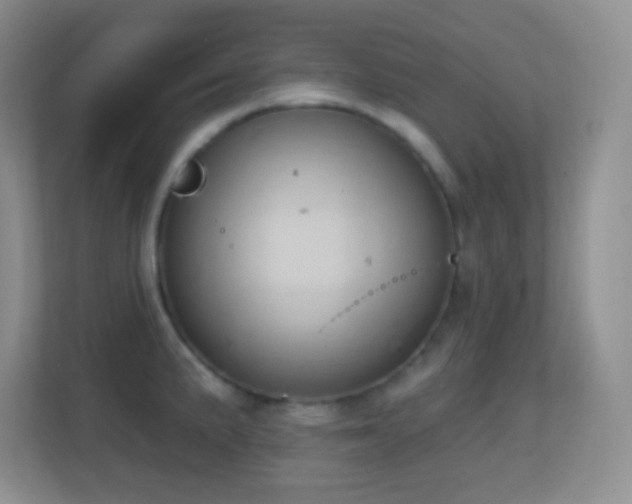X0000113861191200909241301