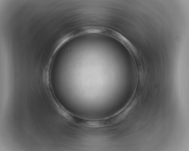 X0000113861194200909241301
