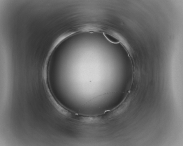 X0000113861195200909241301