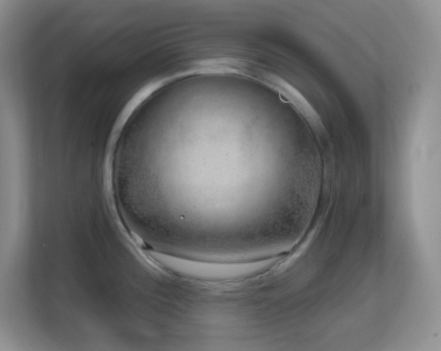 X0000113861196200909241301