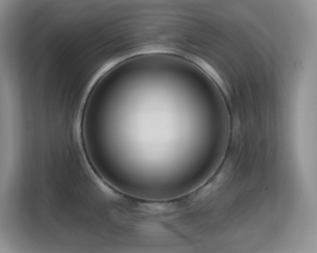 X0000113861197200909241301