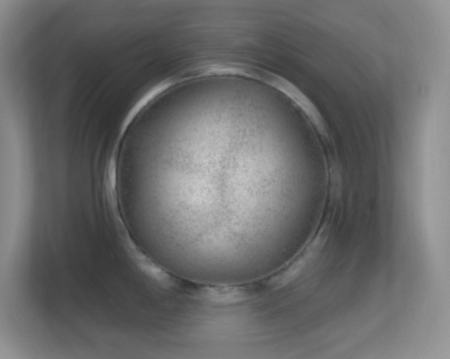 X0000113861198200909241301