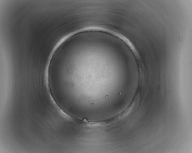 X0000113861199200909241301