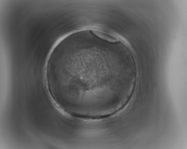 X0000113861200200909241301