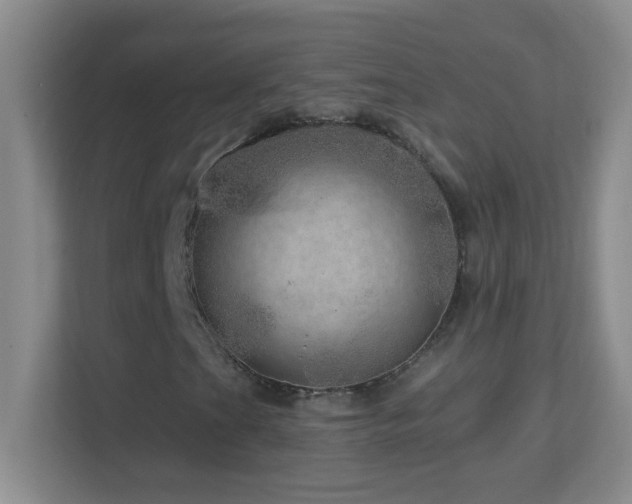 X0000113861201200909241301