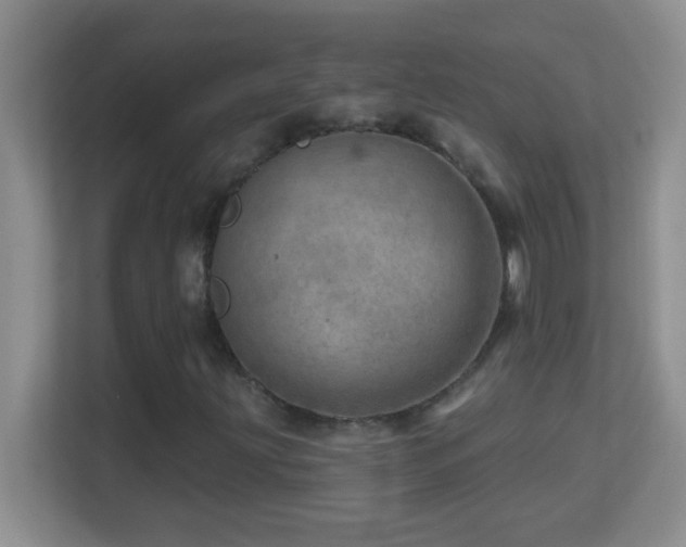 X0000113861203200909241301