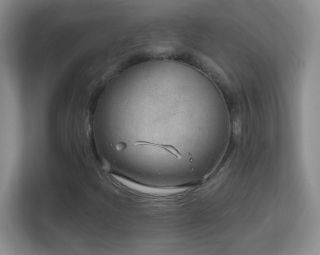 X0000113861204200909241301