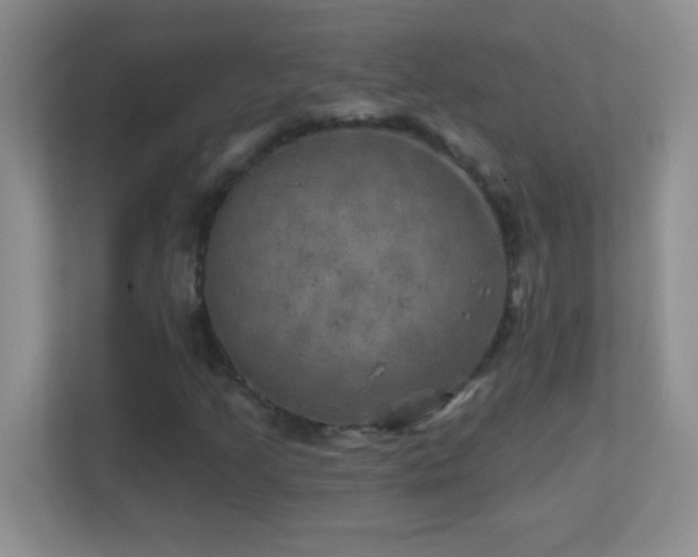 X0000113861205200909241301
