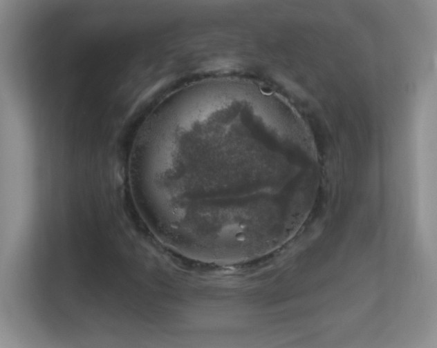 X0000113861206200909241301