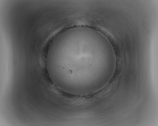X0000113861207200909241301