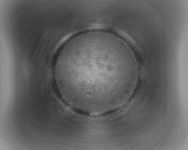 X0000113861208200909241301