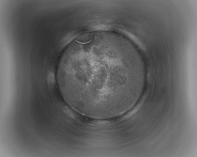 X0000113861209200909241301