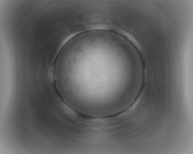 X0000113861212200909241301