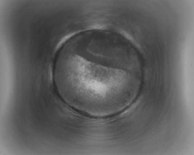 X0000113861214200909241301